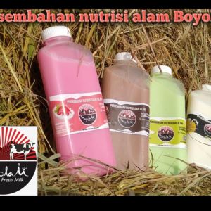 Logo Produk